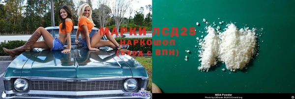 индика Михайловск