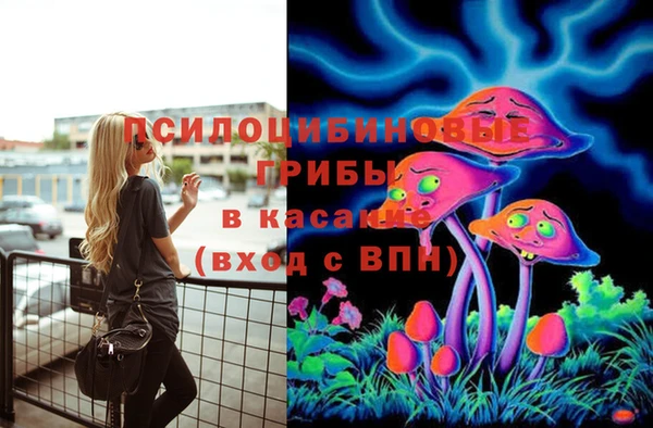 молекула духа Армянск