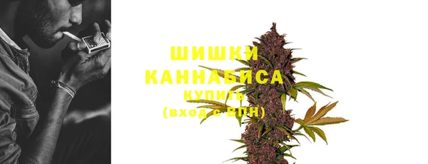 PSILOCYBIN Аркадак
