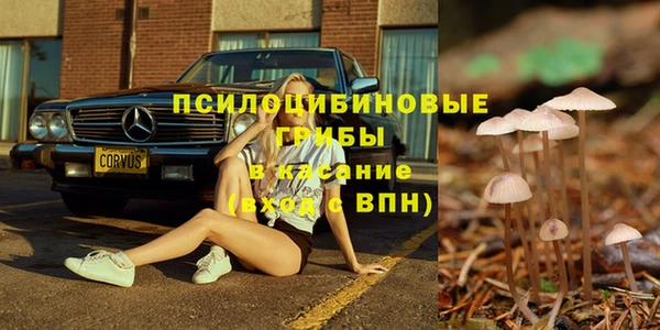 молекула духа Армянск