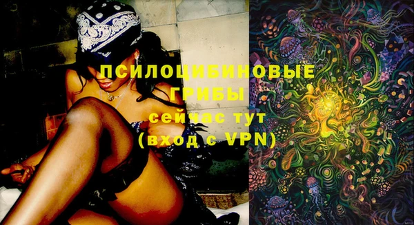 молекула духа Армянск