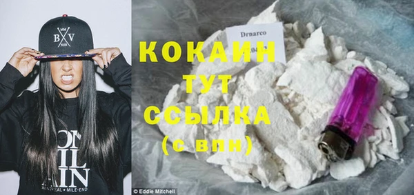 индика Михайловск