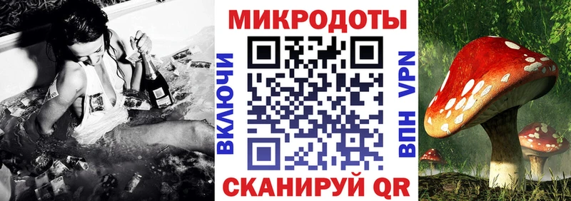 blacksprut магазин продажи Чебаркуль Галлюциногенные грибы прущие грибы